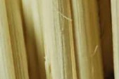 surface rattan sticks